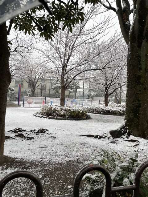 雪の日☆☆☆